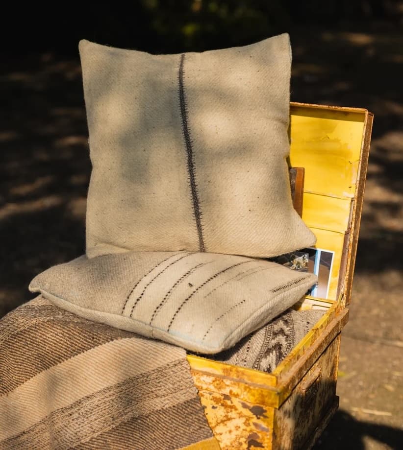 CushionCover 2